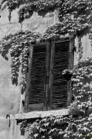 italiedunord2014 (304).jpg
